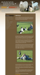 Spirit of Animals - Homepage des Monats Februar 2014