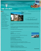 Aquamarin Hotel - Homepage des Monats Juli 2011