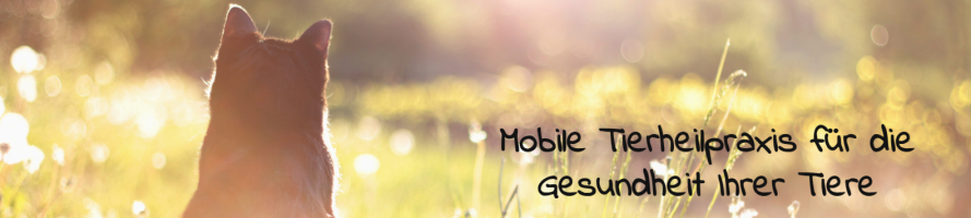 Ursula Keuper Mobile Naturheilpraxis f&uuml;r Tiere